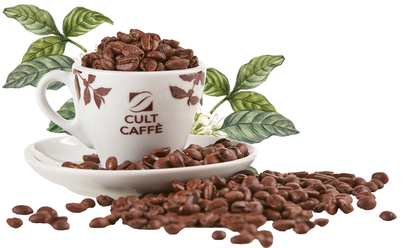 CultCaffè Kaffeetasse mit Kaffeebohnen
